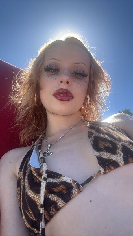 Sugar