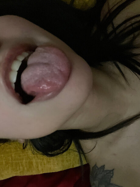 Primedime