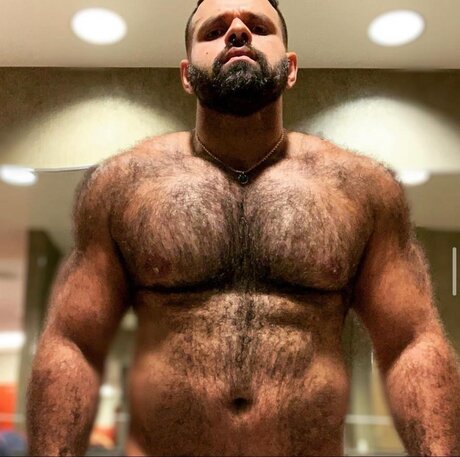 Brazilianbigbear
