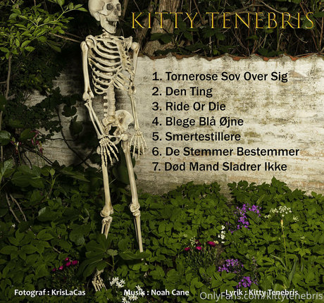 Kittytenebris
