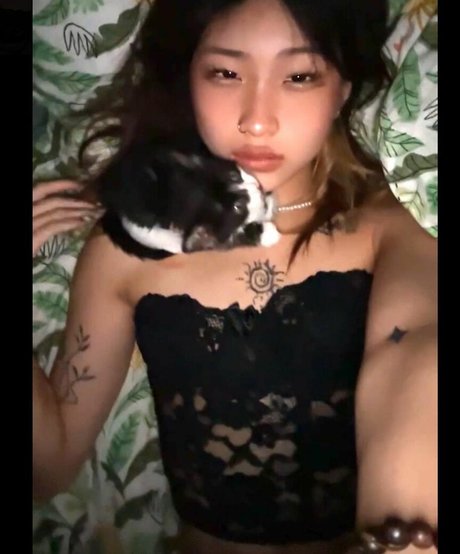 Rachelzh