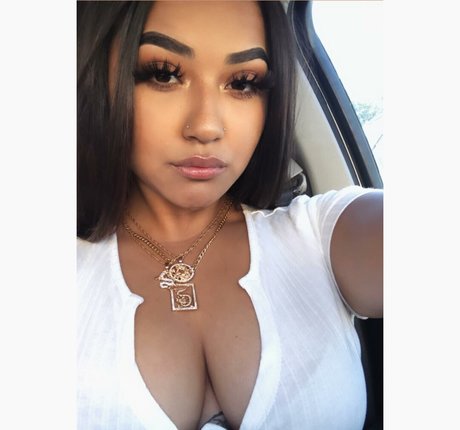 Briaaniicolexo