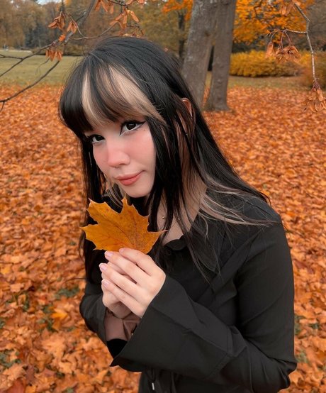 Shini Waifu