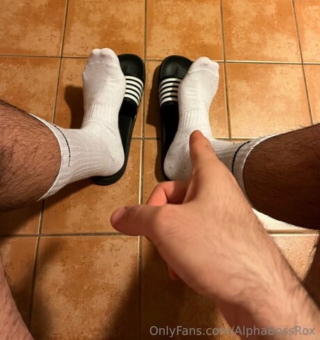 Alphabossrox 