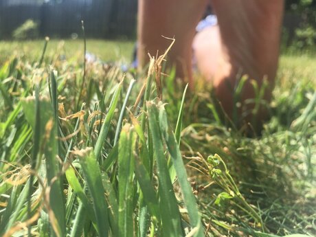 Foto desnuda filtrada de OnlyFans de Jamaicansize11