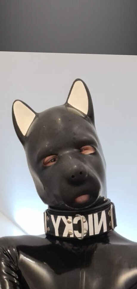 Pupnicky