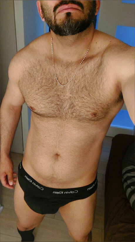 Lobo King 