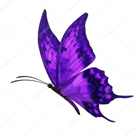 Missbutterfly