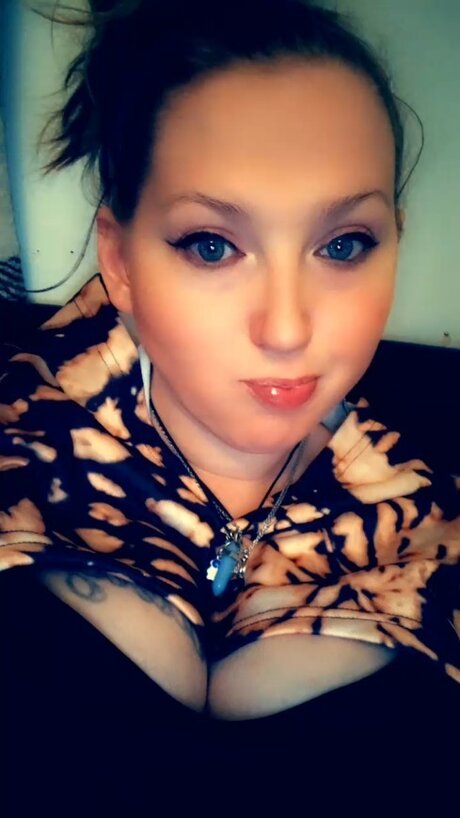 Kitten