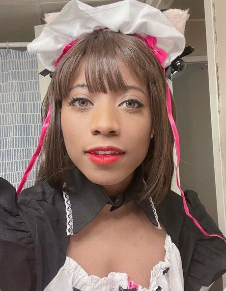 Kittyflutevt