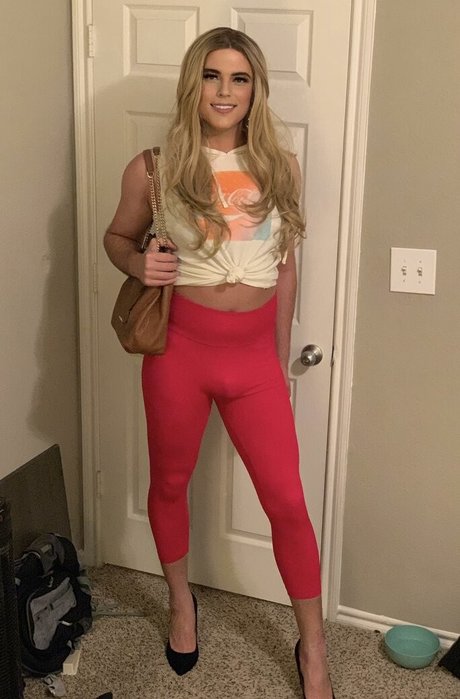 Noellenights
