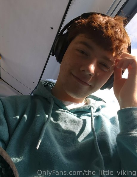 Thelittleviking