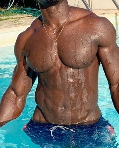 Jamaican Teddy