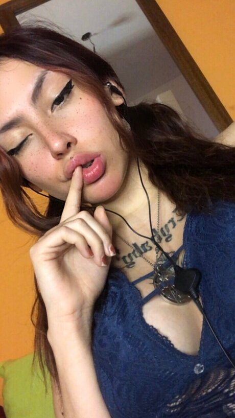Domme Hardsy