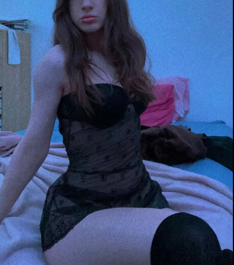 My Free Account