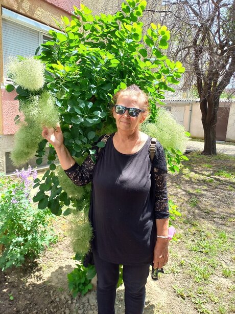 Nada Husti