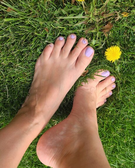 Tipppytoes