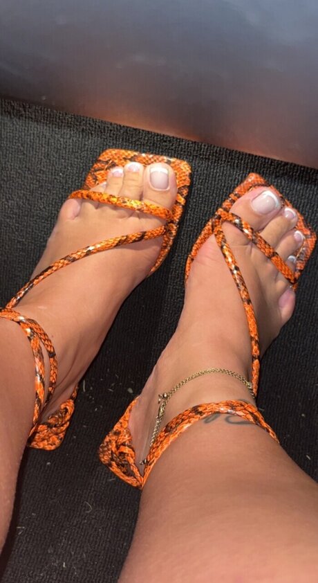 Toetillytoes 