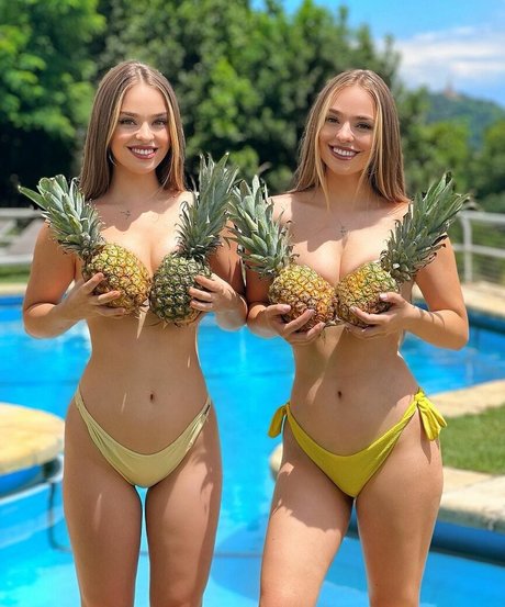 Twinmelody