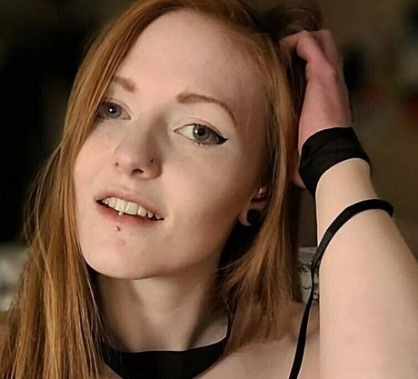 Foxdollfree