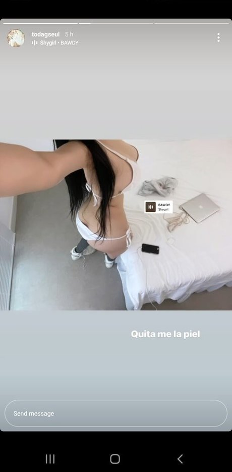 Todagseul