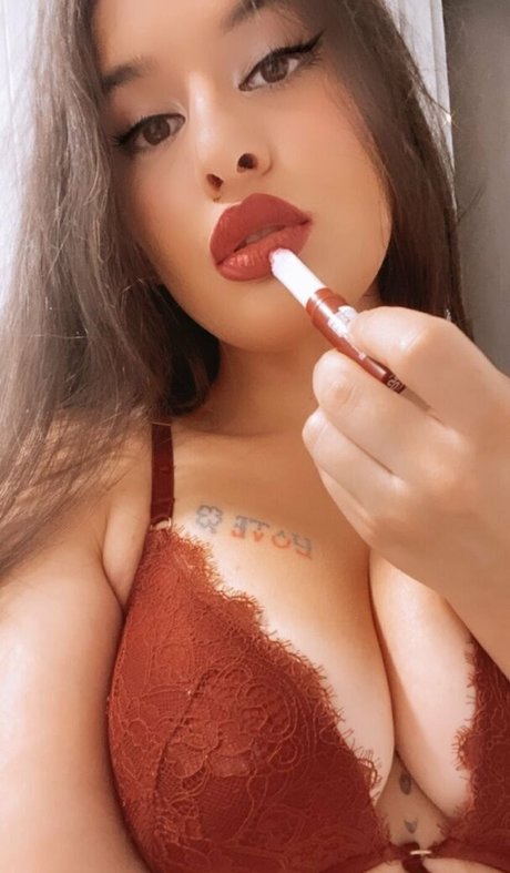 Picapicamodel