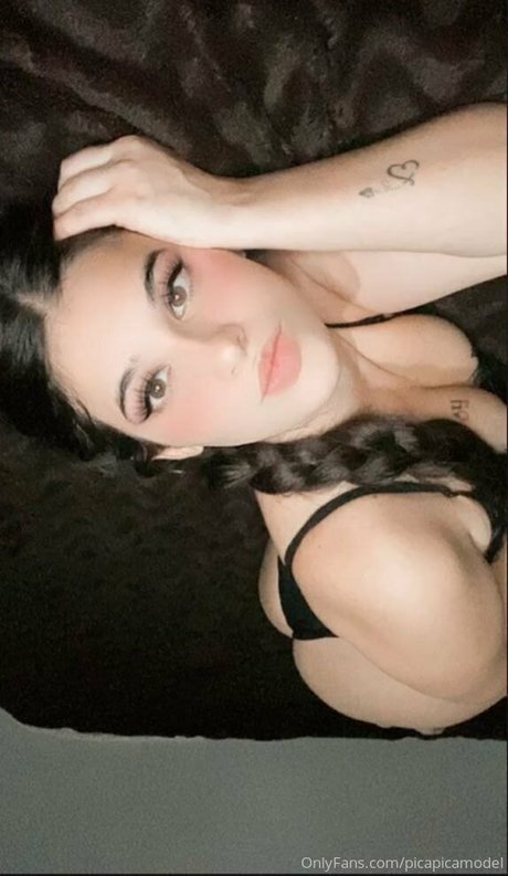 Picapicamodel