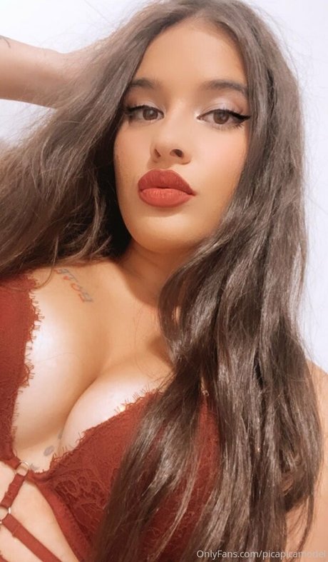 Picapicamodel