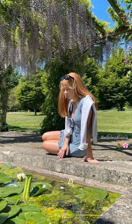 Allylucyfrancis