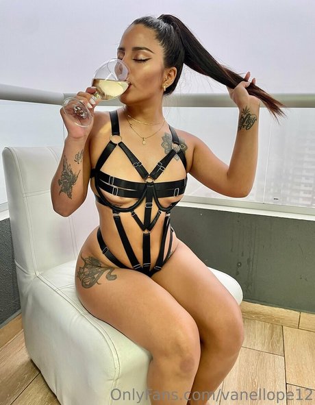 Foto desnuda filtrada de OnlyFans de Vanellope12