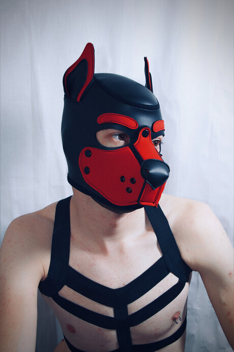 Pupjako