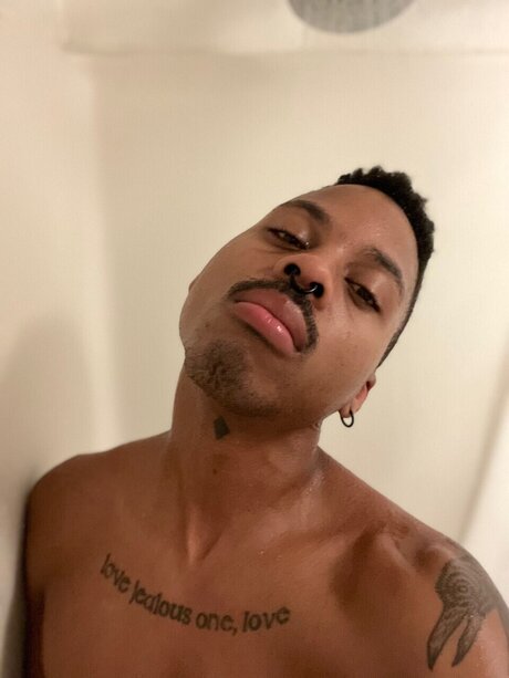 Xelboi