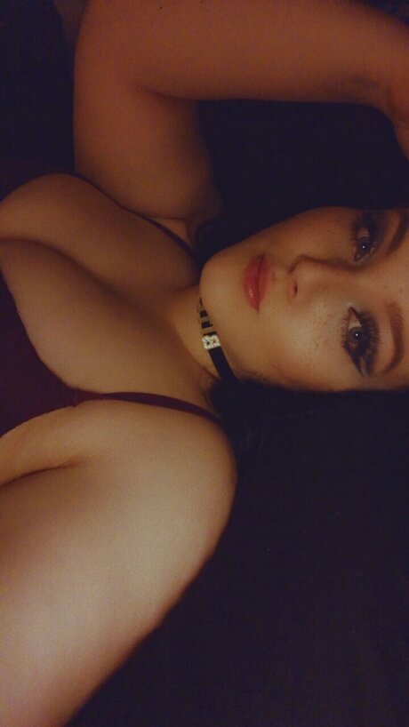 Kitten