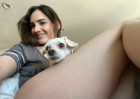 Avaalex
