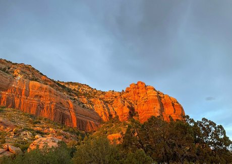 Stella sedona