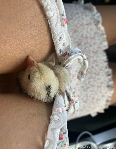 Foto desnuda filtrada de OnlyFans de Iheartlaurenlala