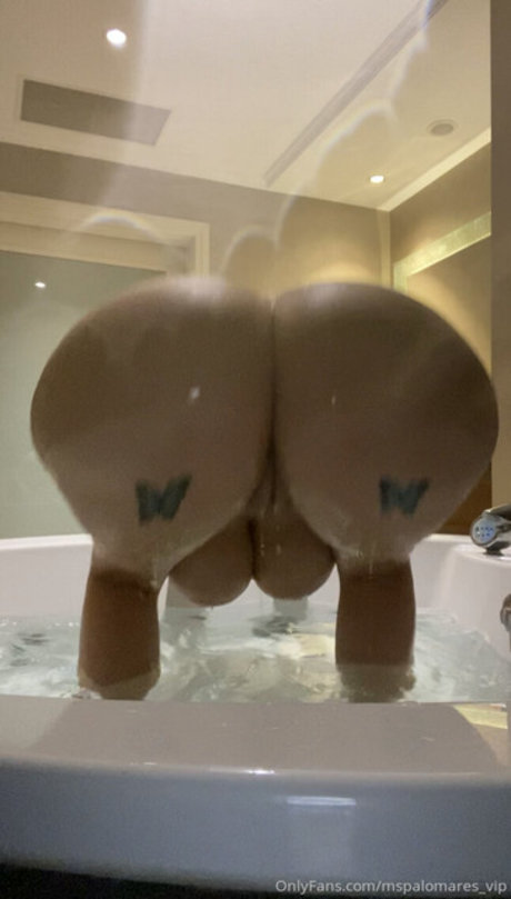 Ms Palomares