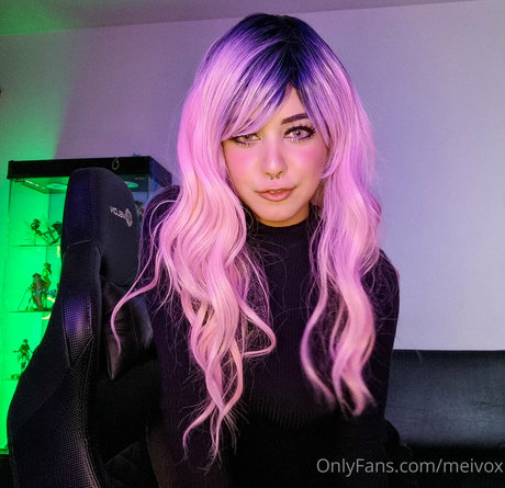 Meivox