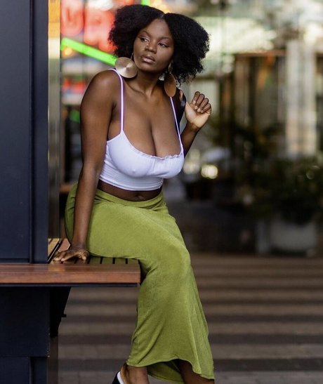 Stylebyambre Ig
