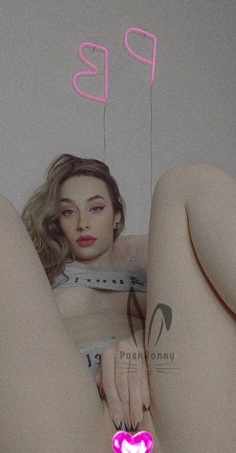 Poshbunnyofficial_free