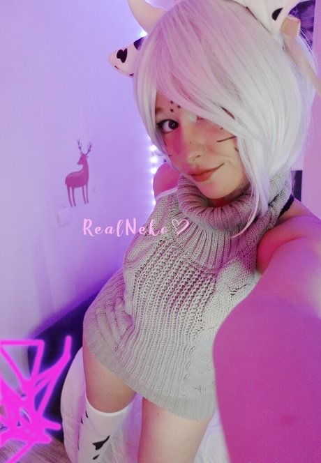Realneko_tv