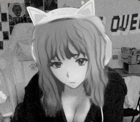 Realneko_tv