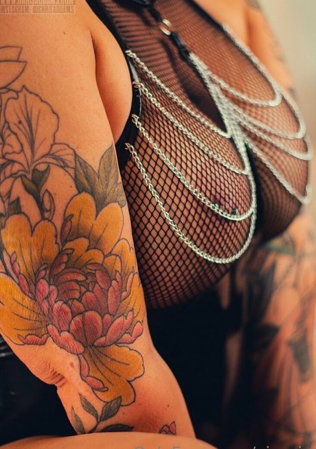 Vixcin