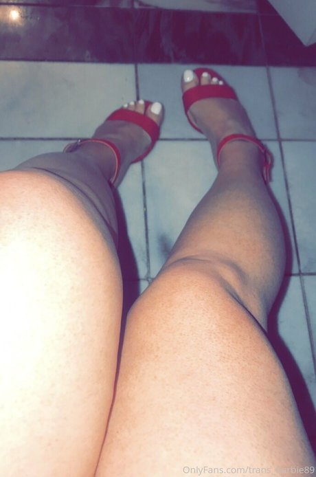 Trans_barbie89