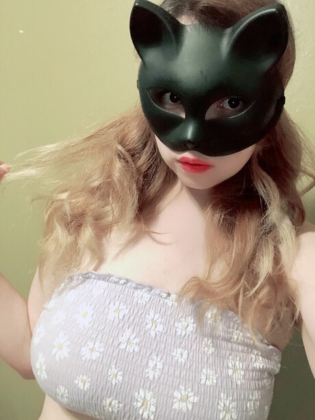 Kittengal2014
