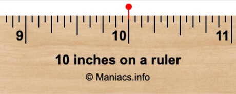 Foto desnuda filtrada de OnlyFans de 10in Prince Roca
