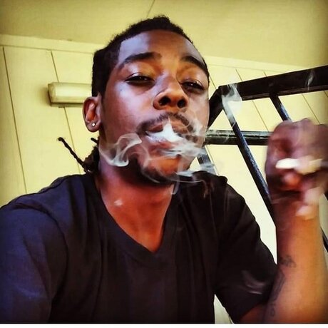 Thevibe Ent