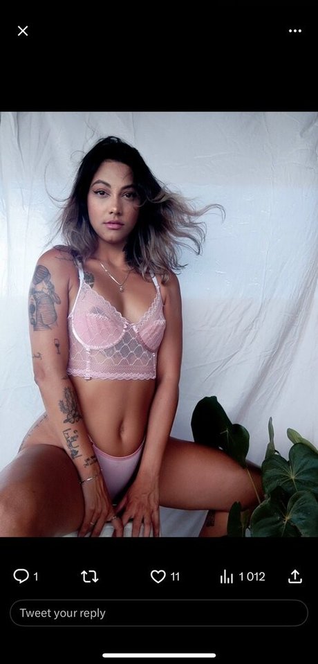 Erva Doce