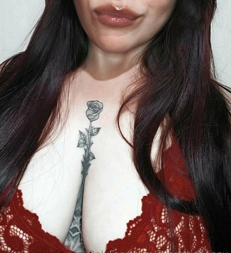 Misslatinbunny