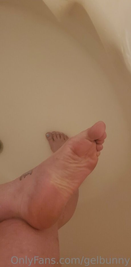Gelbunny